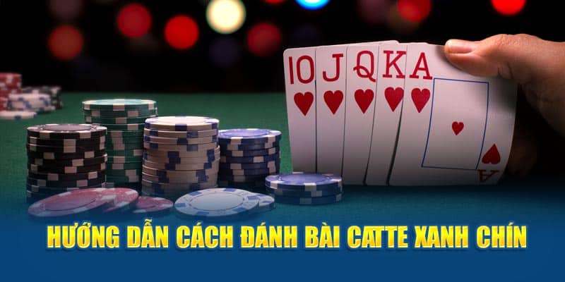 Nắm Trọn Những Cách Đánh Bài Catte Dành Cho Newbie | 789WIN