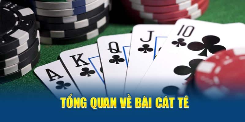 Nắm Trọn Những Cách Đánh Bài Catte Dành Cho Newbie | 789WIN