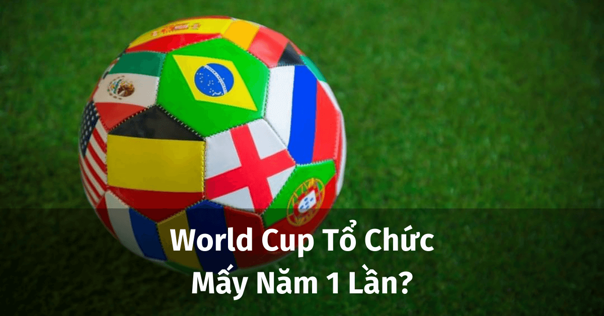 Cúp thế giới hàng năm? World Cup 2022 có gì thú vị?