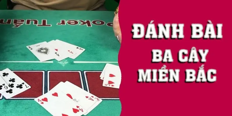 Bí quyết chơi bài poker ba lá: Những mẹo vàng không thể bỏ qua