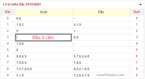 Dumb head và dumb tail là gì? Cách chơi dumb head và dumb tail như thế nào?