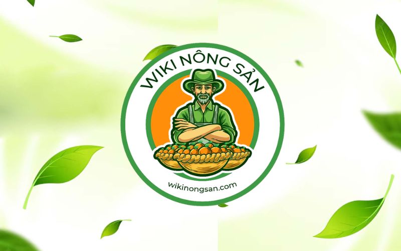 Giới thiệu Wikinongsan.com