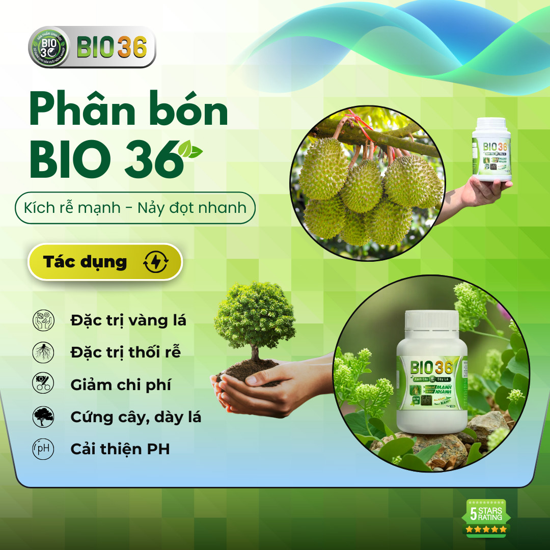 những điều cần lưu ý khi sử dụng Bio 36