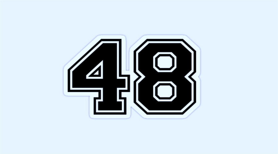 Số 48 tượng trưng cho sự thịnh vượng và phát đạt suốt bốn mùa