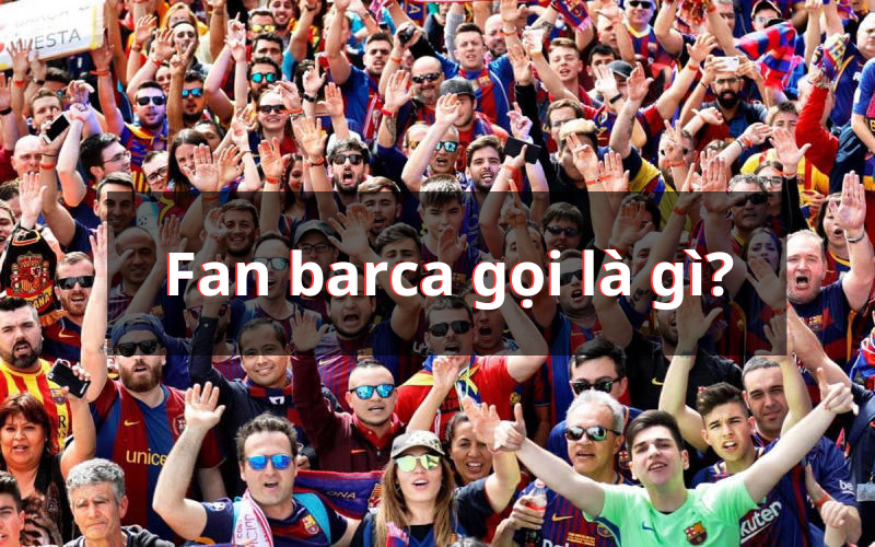 Fan Barca Gọi Là Gì? Bật Mí Nguồn Gốc Và Ý Nghĩa Của Fan Barca
